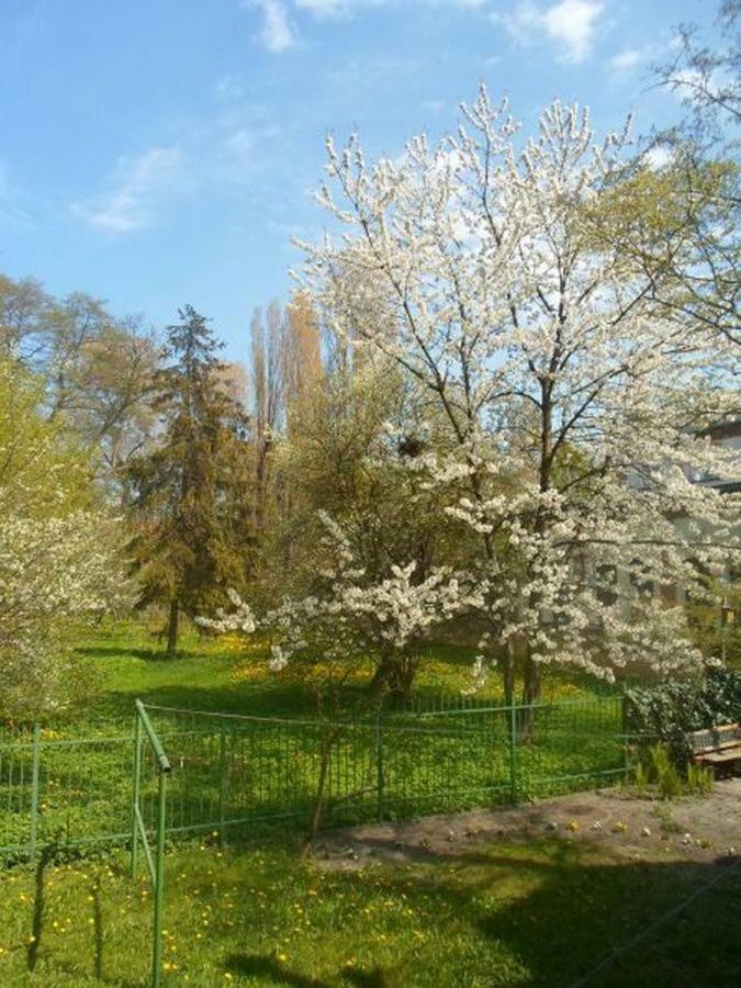 Apartament 100M Od Morza Sopot Esterno foto